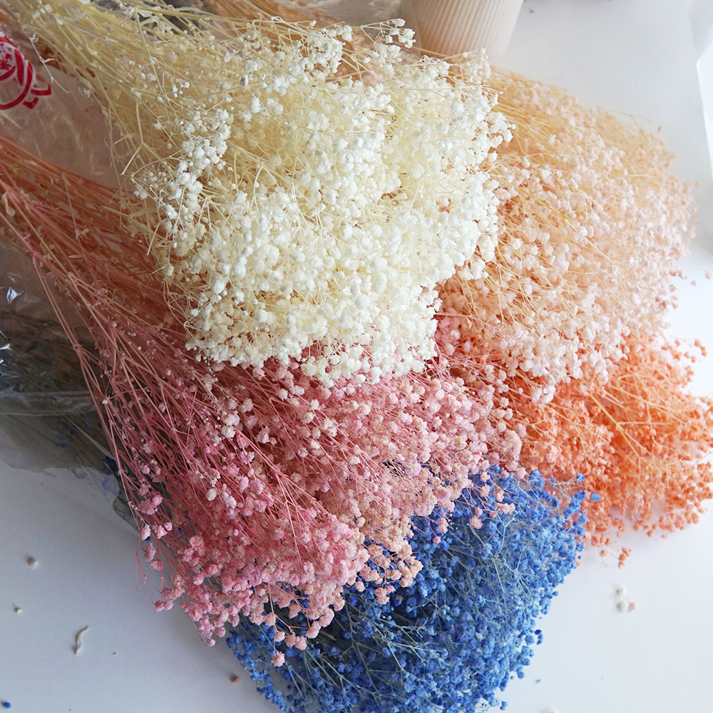 Home Office Bleaching - 50g/Colorful Natural Preserved Dried Babysbreath Gypsophila
