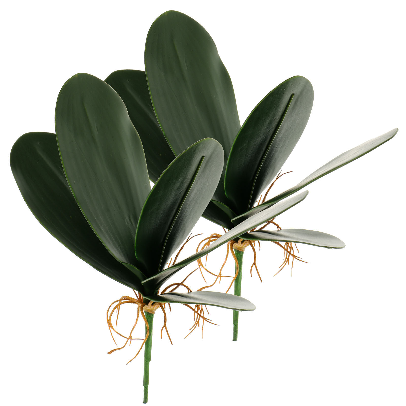 Home Office Alternative - 2Pcs Premium Artificial Phalaenopsis Leaves Realistic