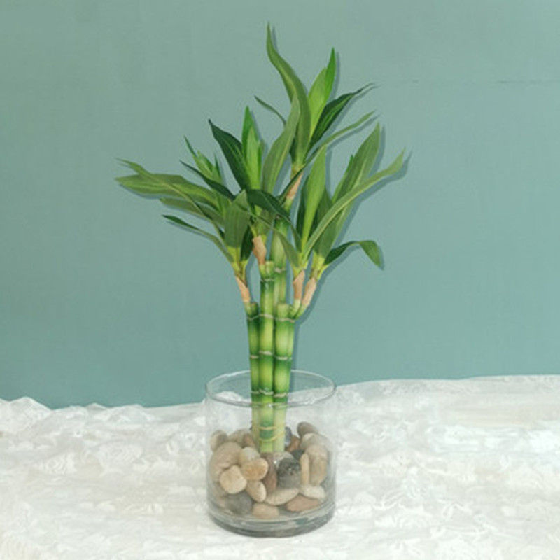 New 40cm rFtificial Lucky Bamb - Desktop Organizer Bamboo ulasan dan harga