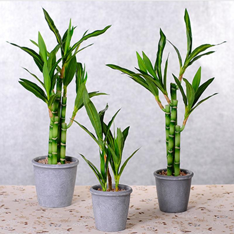 New 40cm rFtificial Lucky Bamb - Desktop Organizer Bamboo ulasan dan harga