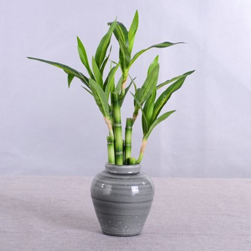 New 40cm rFtificial Lucky Bamb - Desktop Organizer Bamboo ulasan dan harga