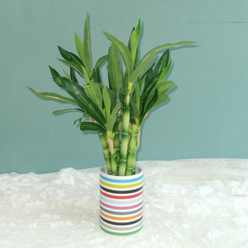 New 40cm rFtificial Lucky Bamb - Desktop Organizer Bamboo ulasan dan harga