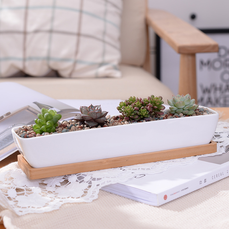 Long Rectangle White Ceramic S - Desktop Organizer Bamboo ulasan dan harga