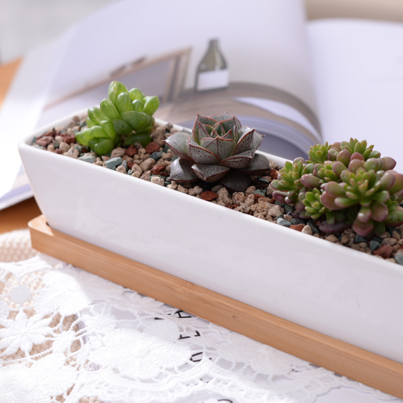 Long Rectangle White Ceramic S - Desktop Organizer Bamboo ulasan dan harga
