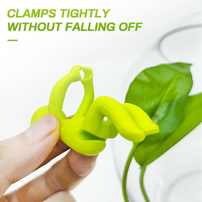 Hydroponic Plant Fixing Figuri - Home Office Word ulasan dan harga