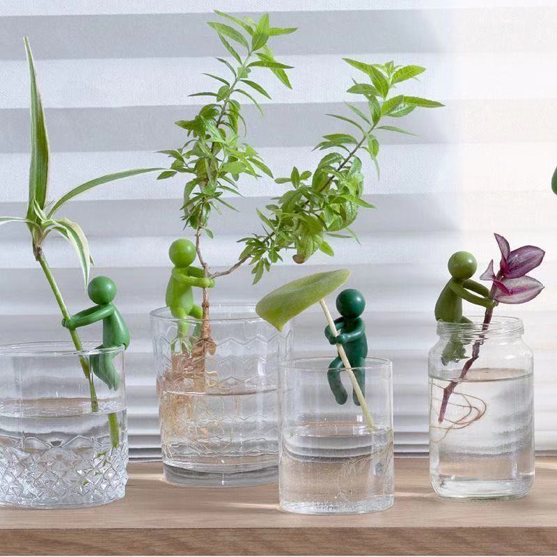 Hydroponic Plant Fixing Figuri - Home Office Word ulasan dan harga