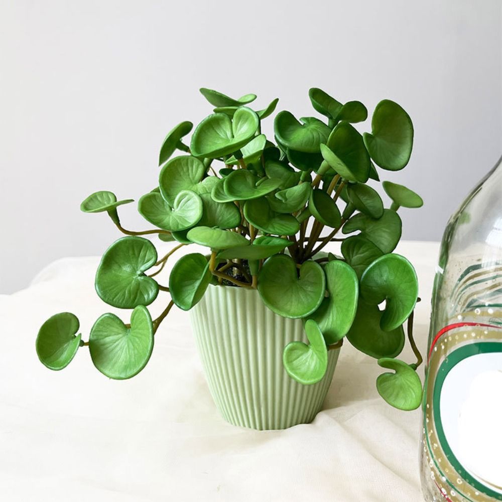 Soft Glue Artificial Plant EVA - Home Office Word ulasan dan harga