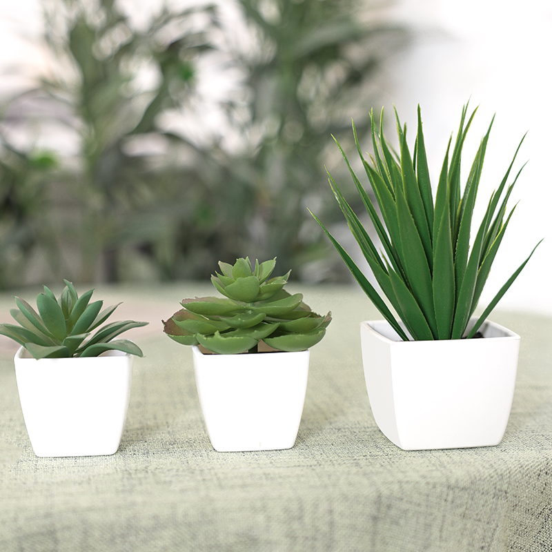 3PCS Artificial Evergreen Plan - Home Office Word ulasan dan harga