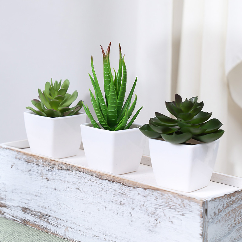 3PCS Artificial Evergreen Plan - Home Office Word ulasan dan harga
