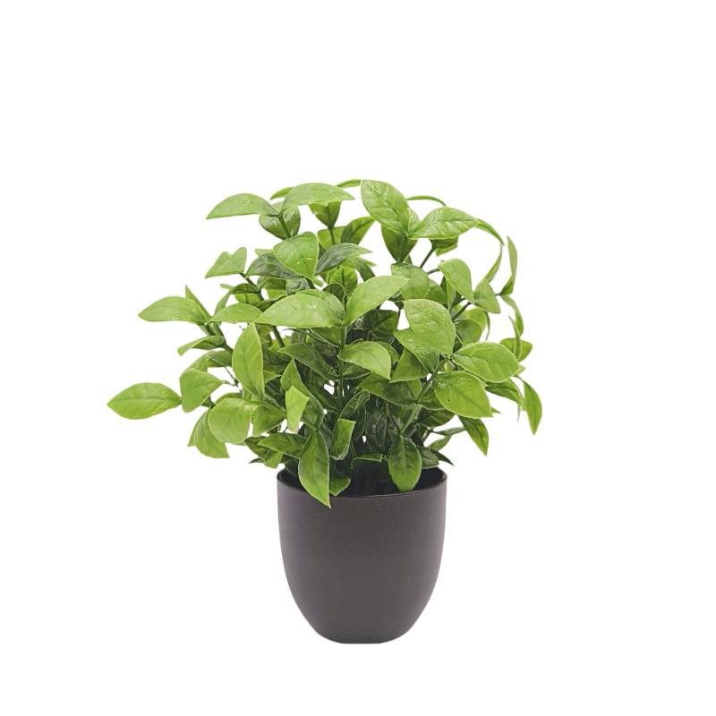 Simulation Green Plant Bonsai  - Home Office Word ulasan dan harga