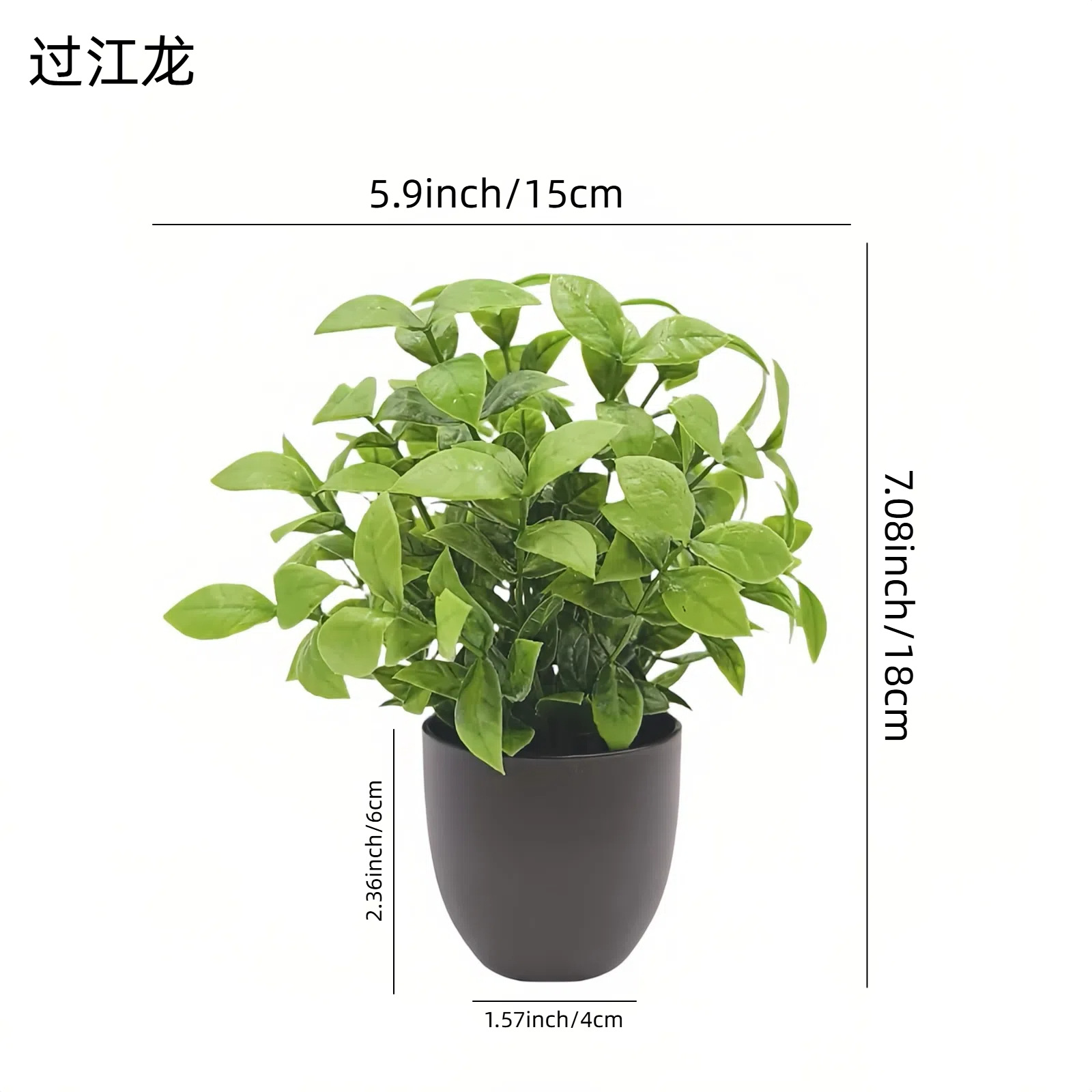 Simulation Green Plant Bonsai  - Home Office Word ulasan dan harga